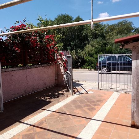 Villa Sa Minda Noa 2 Camere 2 Bagni Aria Condizionata E Giardino Olbia Exterior photo